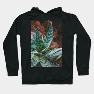 Green Agave Hoodie